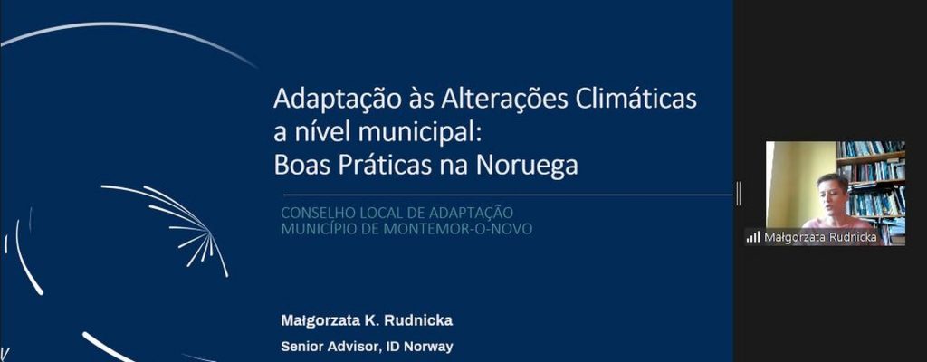 Webinar#7 – Mainstreaming e Integração (Continuação)
