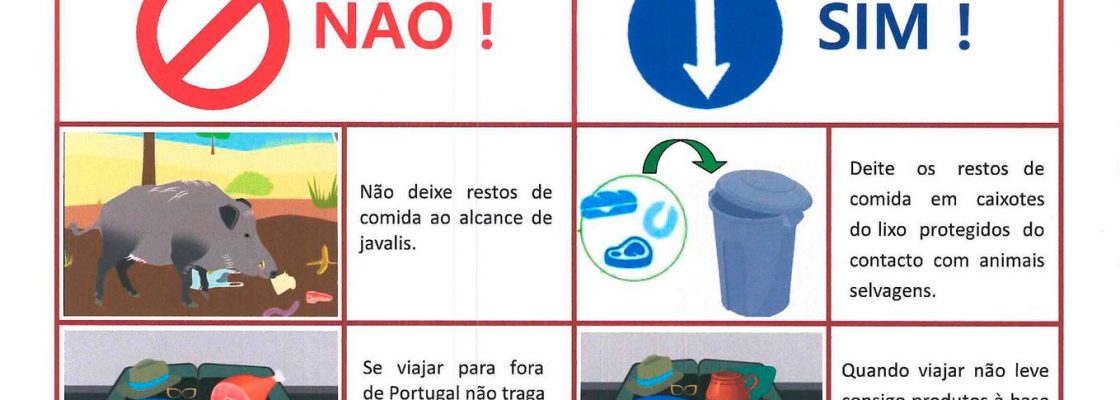 Rascunho automático 19