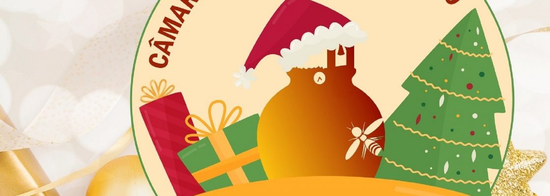 Câmara Municipal de Redondo vai entregar cabazes de Natal a reformados e pensionistas residentes...