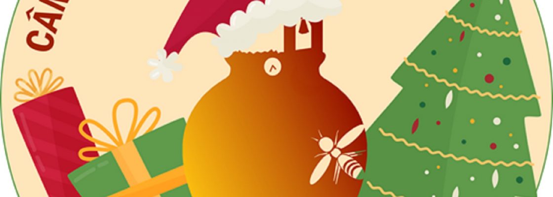Câmara Municipal de Redondo aposta em campanha solidária para minimizar efeitos sociais e econ...