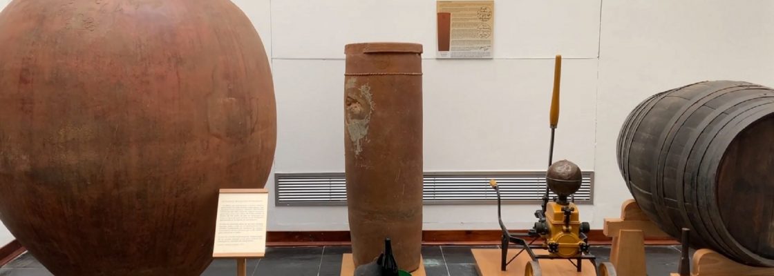 Dia Internacional dos Museus 2021 – Museu do Vinho