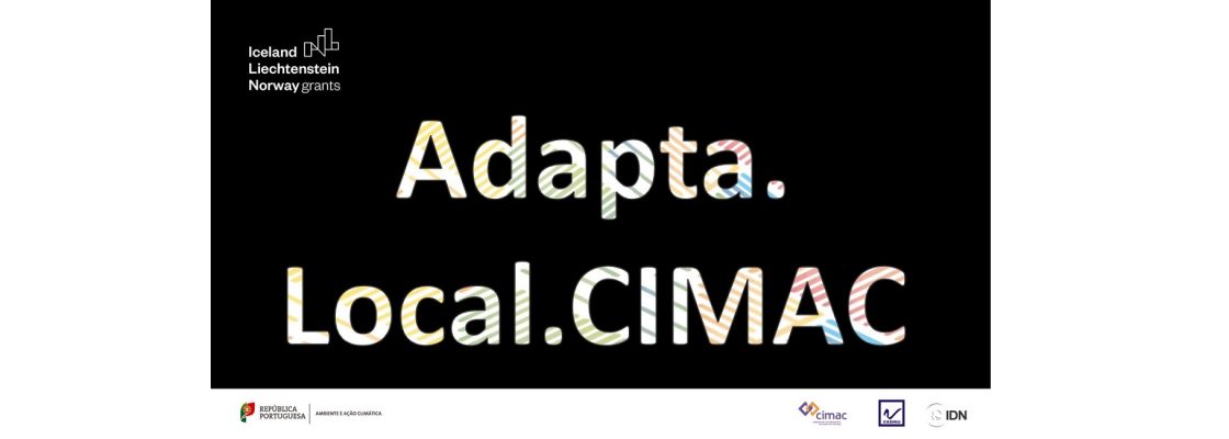 Webinar #2 – Avaliação da Capacidade Adaptativa e do Climate Proofing de Planos Locais