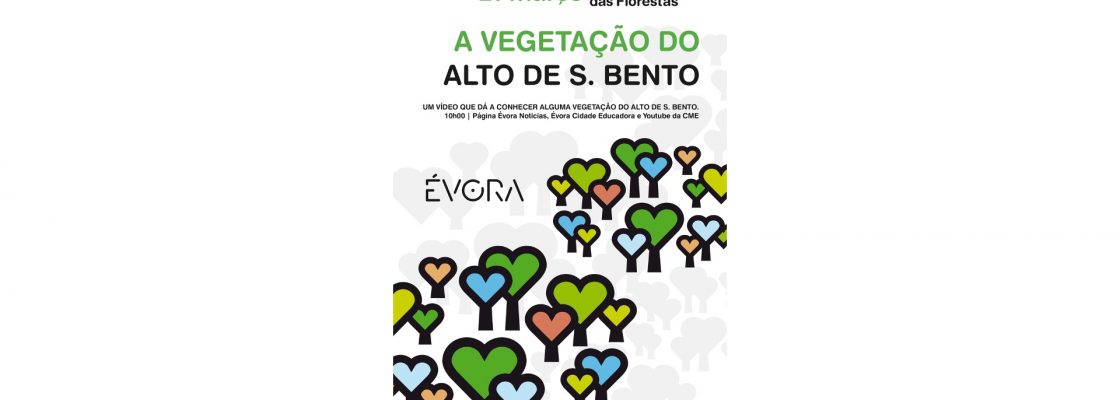 21 de Março – Dia Mundial da Árvore e Dia Internacional das Florestas