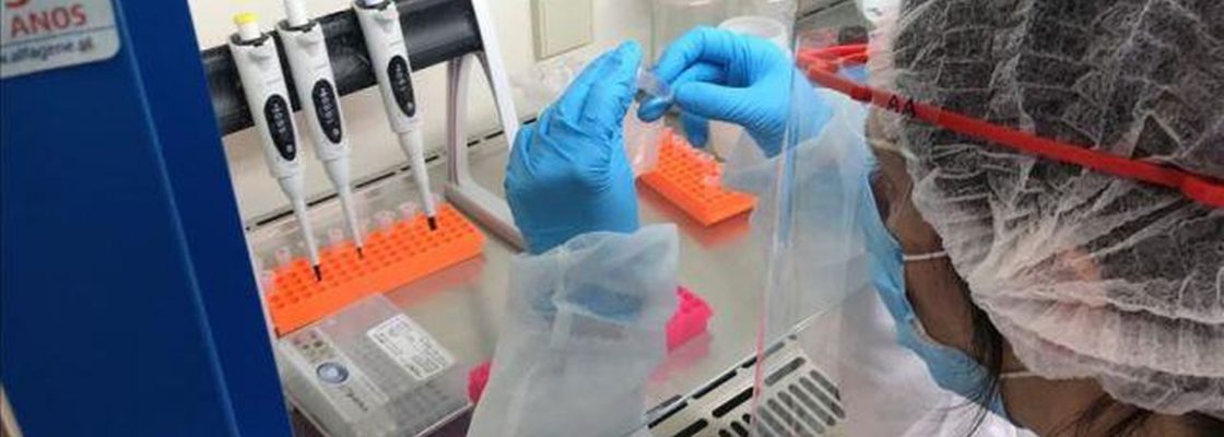 Das doenças das plantas à Covid-19. Universidade de Évora adapta laboratório para fazer teste...