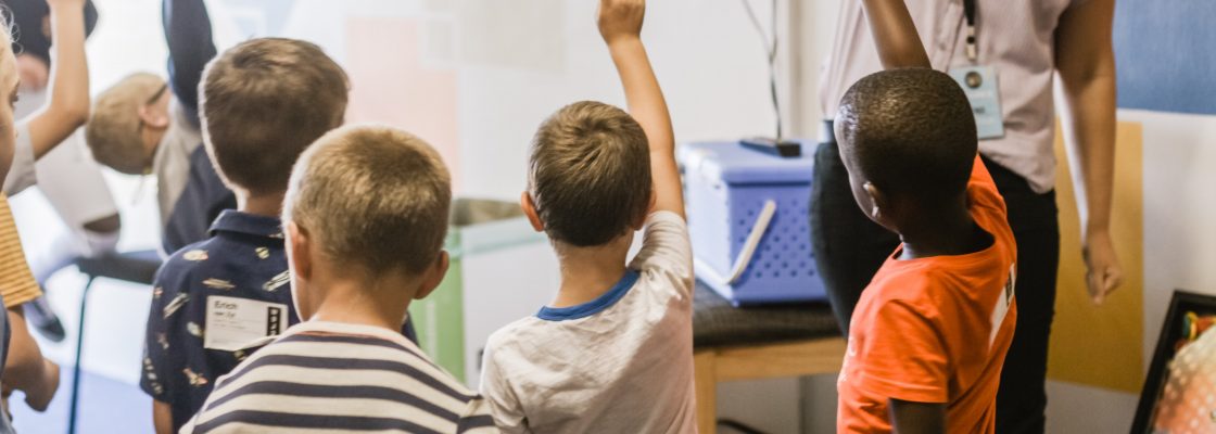 Informação aos pais e encarregados de educação da EB S. Mamede