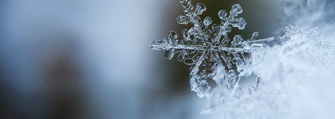 O Frio veio para ficar! relembre os cuidados a ter com as temperaturas baixas