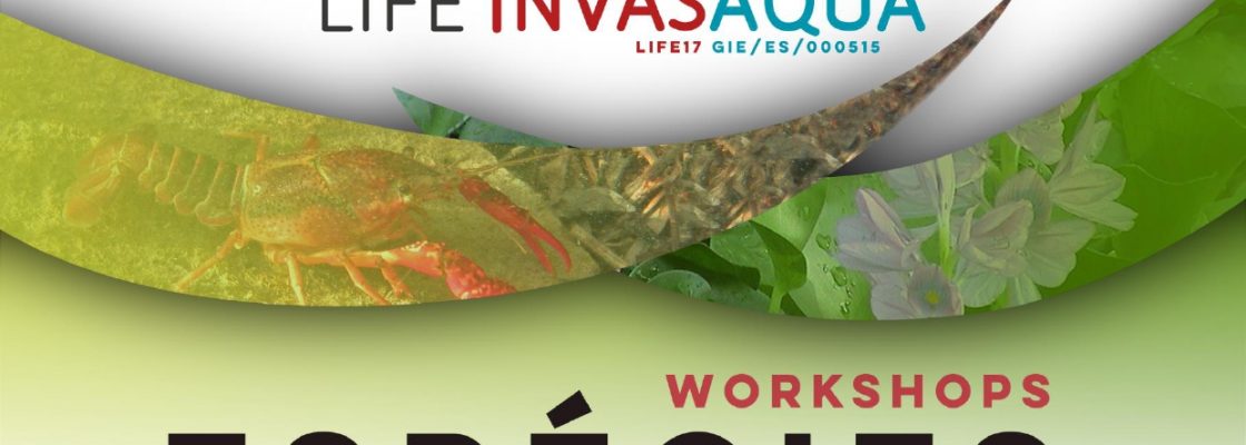 Workshop online “Espécies invasoras aquáticas” | 28 de outubro | 09h30 | Via Zoom
