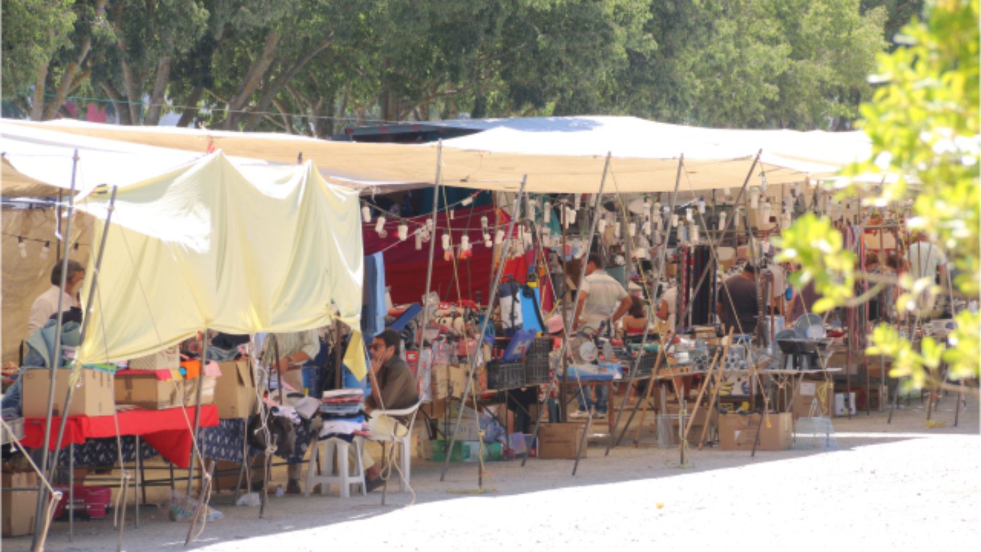 Mercadodelevante6outubro_1688142250