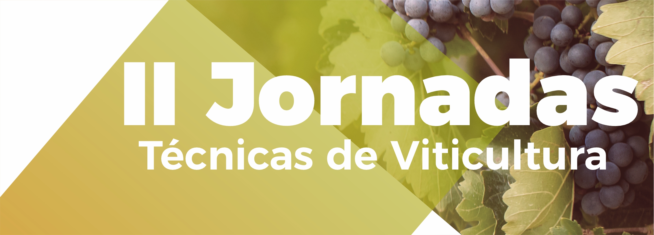 IIJornadasTcnicasdeViticultura04deoutubro15h00AuditriodoCentroCulturaldeRedondo_1696005341