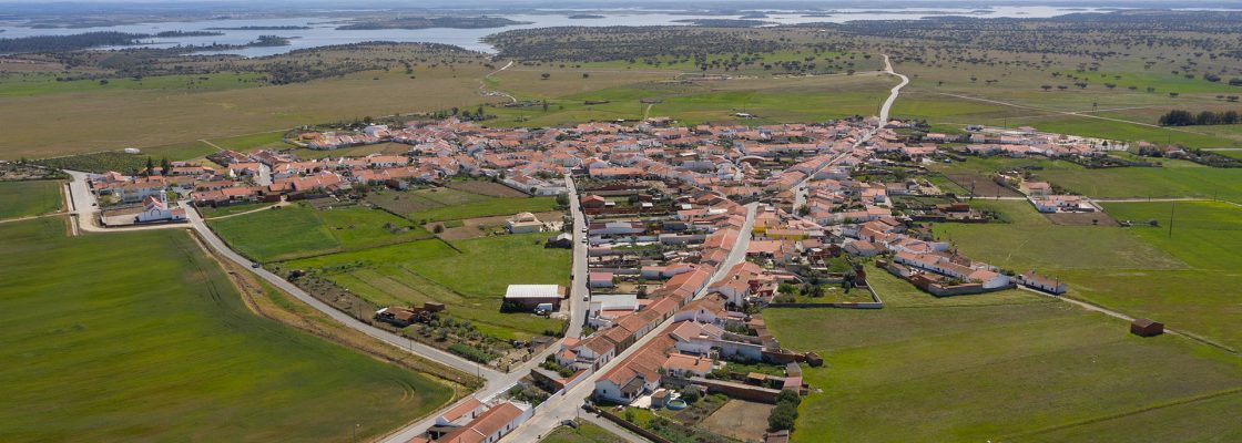 Município de Reguengos de Monsaraz não utiliza glifosato há dois anos para eliminar as ervas n...