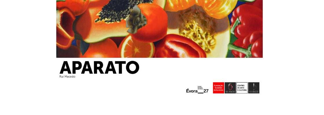 Ciclo de Conversas com Rui Macedo, David Barro e José Alberto Ferreira | APARATO | Exposição d...