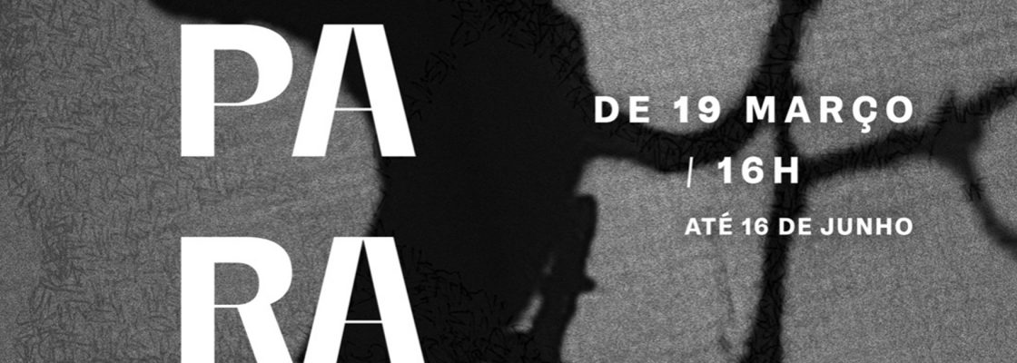MUSEU DA LUZ | EXPOSIÇÃO Paradeisos