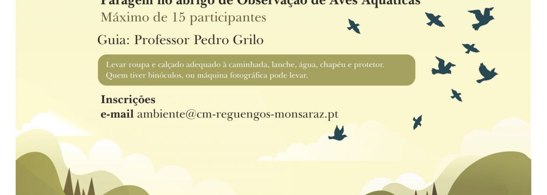 Eco Caminhada com observação de aves