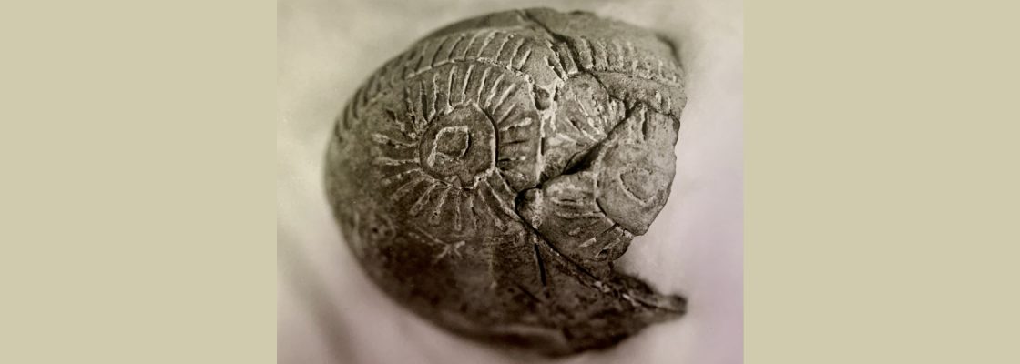 Oficina de Cerâmica Manual | Jornadas Europeias da Arqueologia