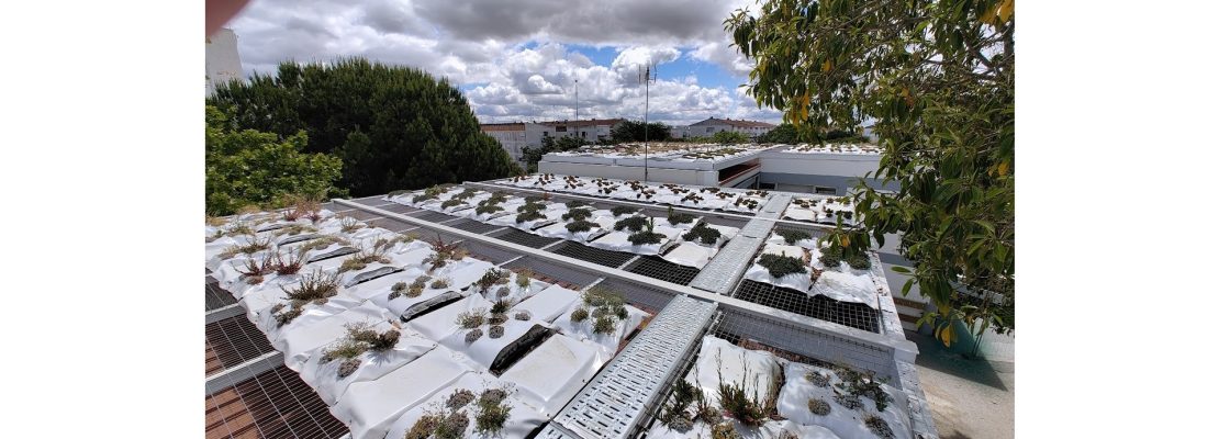 Implementação de Soluções Baseadas na Natureza na Escola Básica da Horta das Figueiras Dinam...