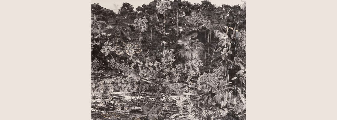 Exposição «Devir Paisagem»