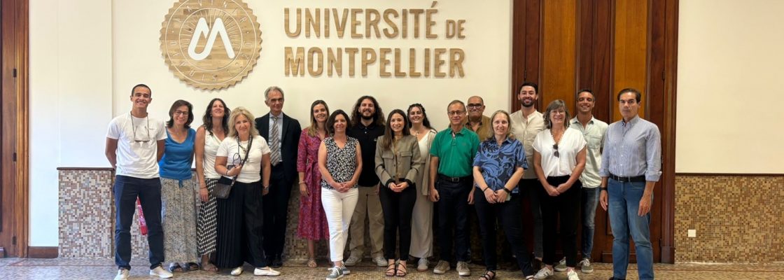 CIMAC participa em reunião de trabalho do Projeto Tango-Circular