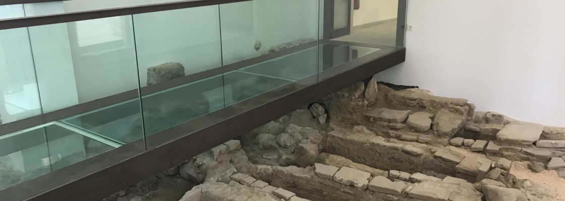 Ciclo «Ver o Museu» | A Necrópole e as escavações no Museu