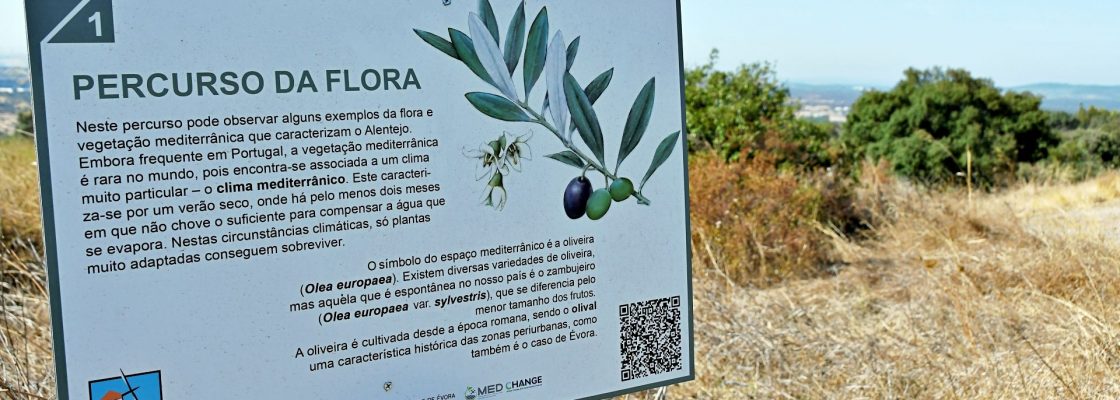Docentes conheceram novo Percurso da Flora no Alto de S. Bento