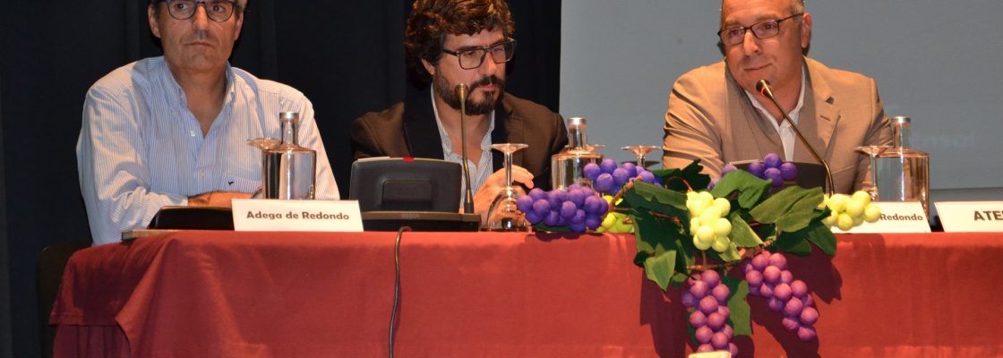 REDONDO DEBATEU DESAFIOS DA VITICULTURA NO TERRITÓRIO
