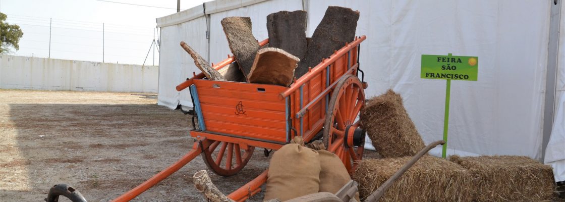 Surto de Língua Azul inviabiliza a Mostra Agro-Pecuária da Feira de S. Francisco