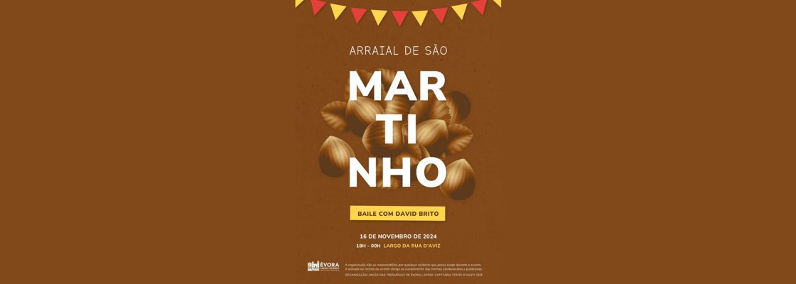 ARRAIAL DE SÃO MARTINHO