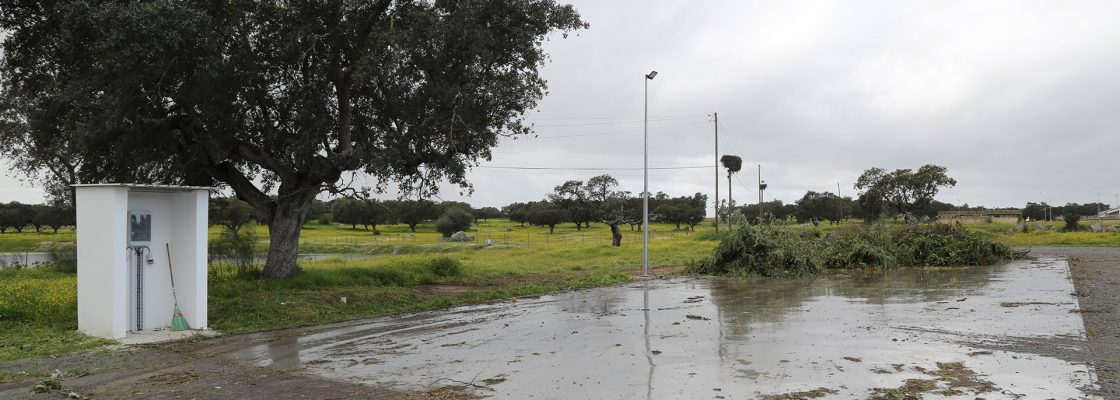 Estratégia ambiental de Reguengos de Monsaraz produz resultados na entrega e recolha de resíduo...