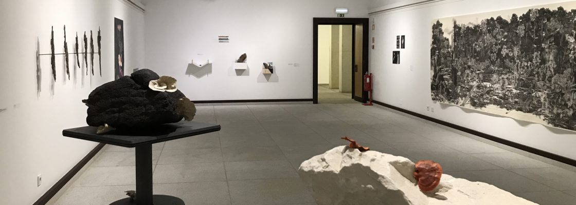 Mesa-redonda «Alterações Climáticas: FLORESTA e ARTE»