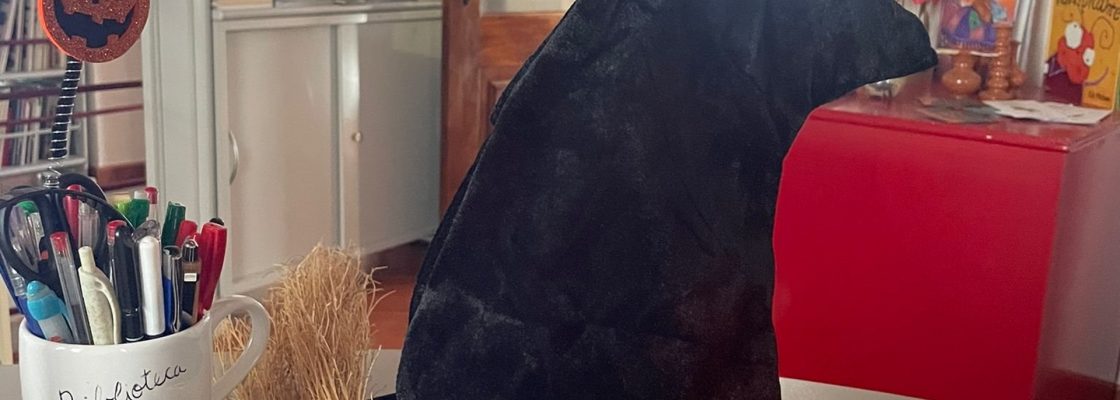 Montoito viveu o Halloween num ambiente “assustadoramente” divertido