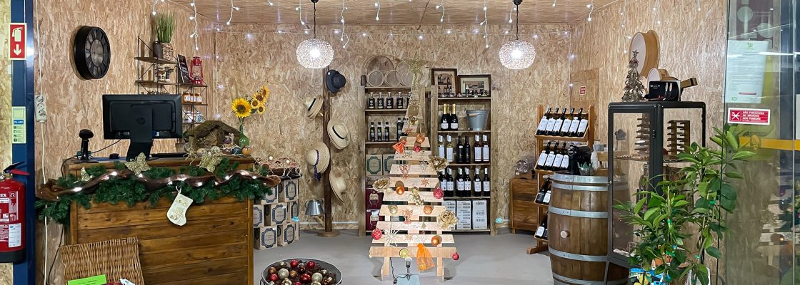 Reguengos de Monsaraz incentiva compras de Natal no comércio local para dinamizar a atividade ec...