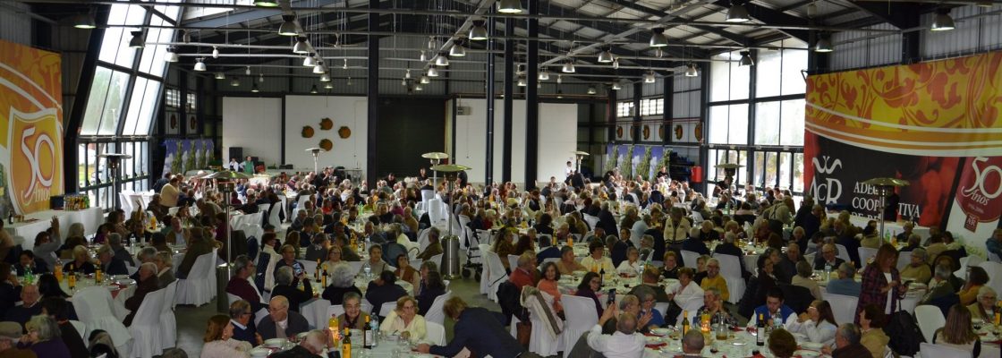 Município de Redondo juntou reformados e pensionistas para tradicional Almoço de Natal