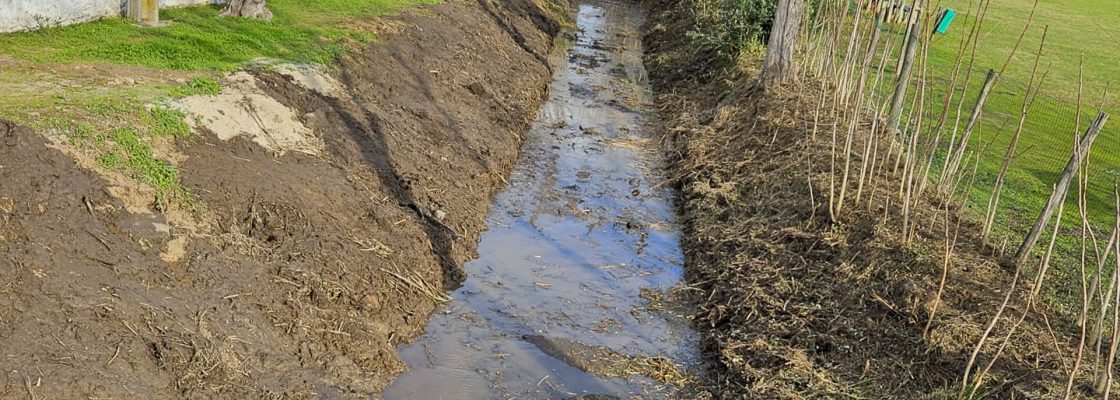 SERVIÇOS MUNICIPAIS ASSEGURAM LIMPEZA DE LINHAS DE ÁGUA