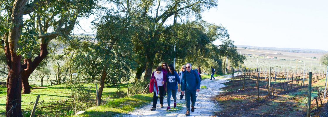 Passeio Pedestre As vinhas e Adega de Borba