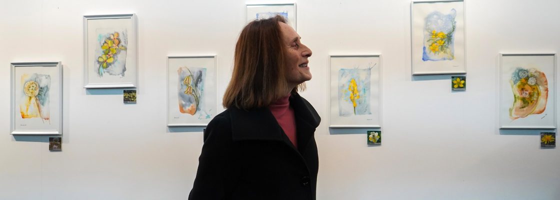 Exposição | “Alentejo Singular: Ecos da Nossa Flora” de Aurora Sá