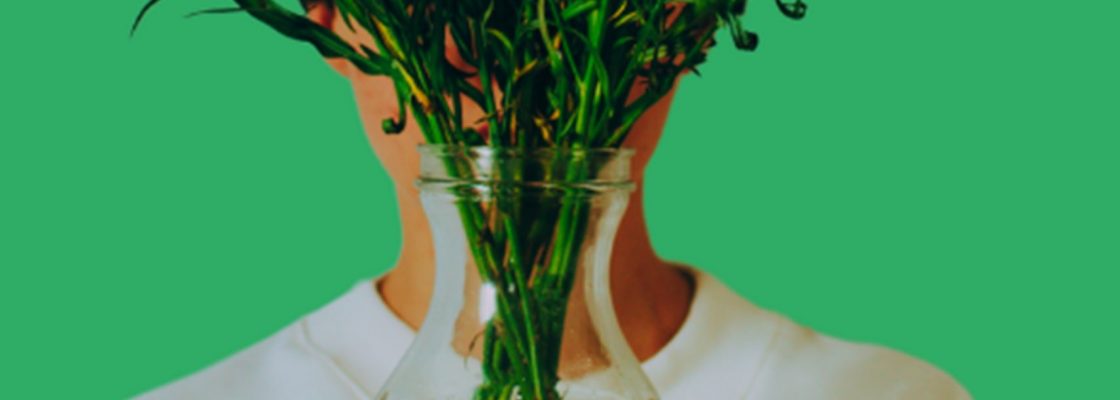 DECO | Lifestyle: Junte-se a nós na promoção de estilos de vida mais sustentáveis!