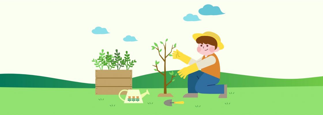 Dia Mundial da Árvore | “Vamos plantar uma árvore/ flor” | 21 de março | 16h00 | J...