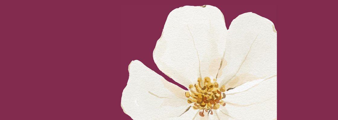 MENOPAUSA – Literacia em Saúde | Armazém 8 “Ciclo É por Elas”