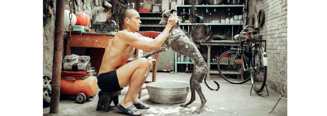 CÃO PRETO, um filme Guan Hu