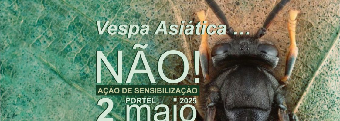 Ação de Sensibilização – Vespa Asiática… Não!