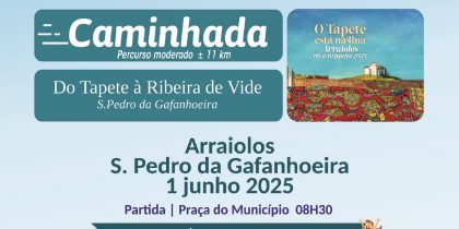 Do Tapete à Ribeira de Vide