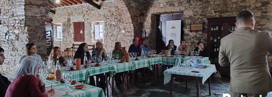 Iniciação à Prova de Vinhos – Nível II permitiu aprofundar conhecimentos, aromas e sabores