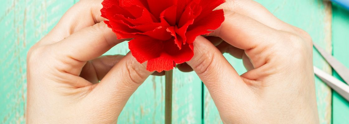 Atelier de cravos em papel e quadras dos Santos Populares | dia 07 de junho | 15h00 | Biblioteca ...