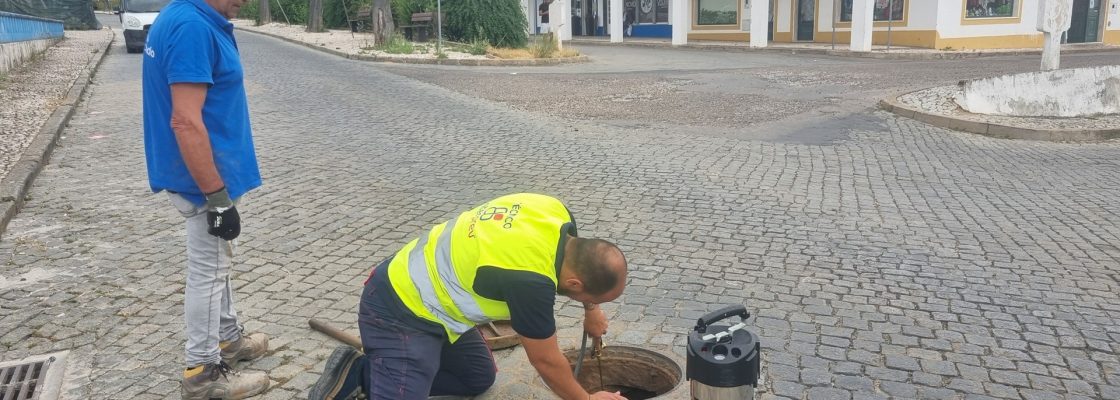 Redondo alvo de ações de desbaratização e desratização