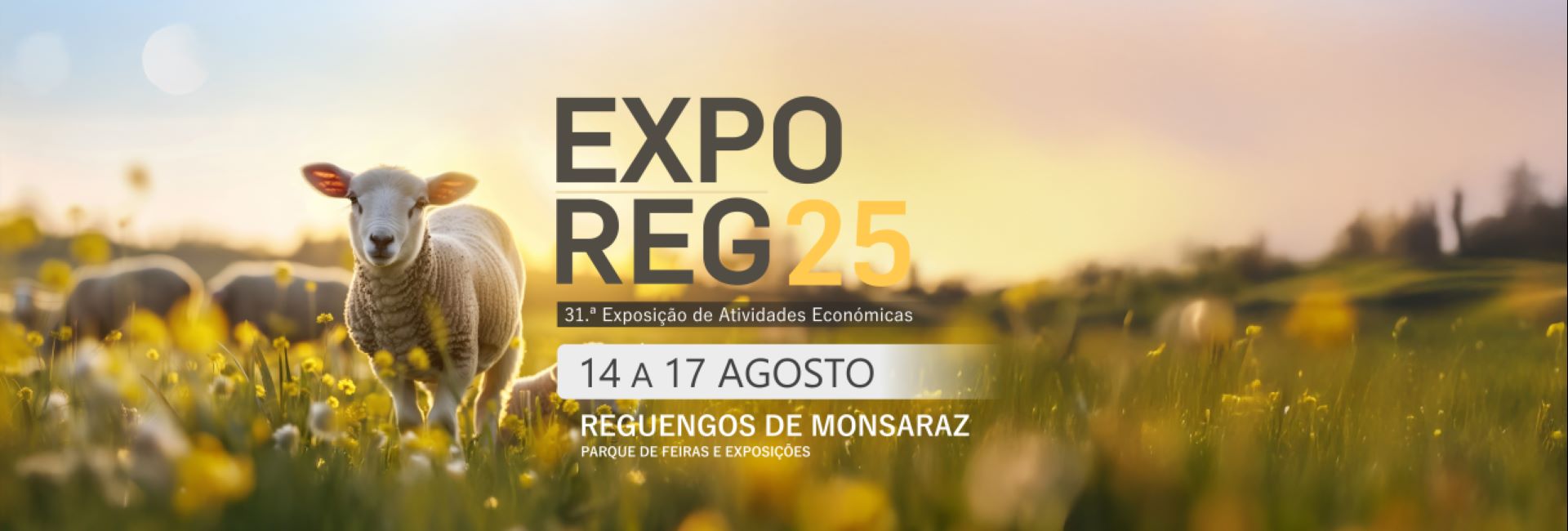 ExpoReg202531.ExposiodeAtividadesEconmicasdeReguengosdeMonsaraz_1754995859